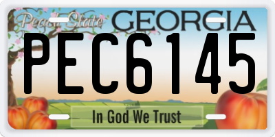 GA license plate PEC6145
