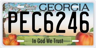 GA license plate PEC6246