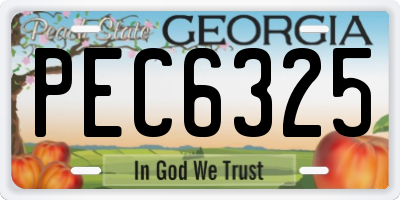 GA license plate PEC6325