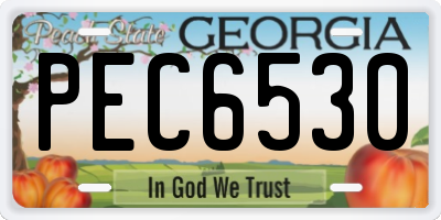 GA license plate PEC6530