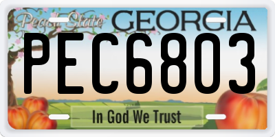 GA license plate PEC6803