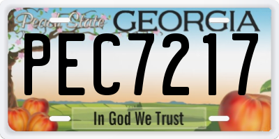GA license plate PEC7217