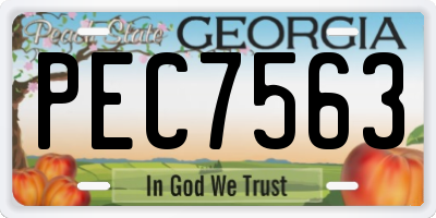 GA license plate PEC7563