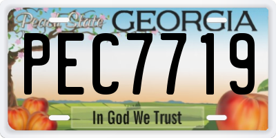 GA license plate PEC7719