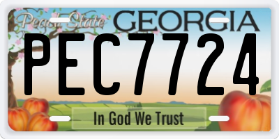 GA license plate PEC7724