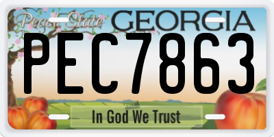 GA license plate PEC7863