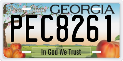 GA license plate PEC8261