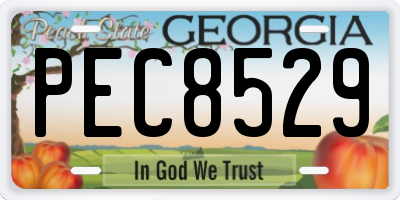 GA license plate PEC8529
