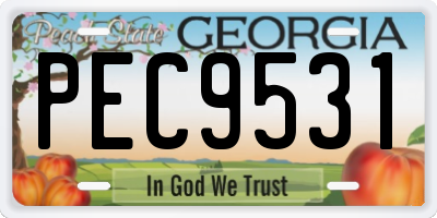 GA license plate PEC9531