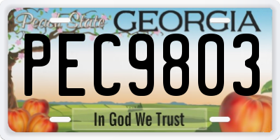 GA license plate PEC9803