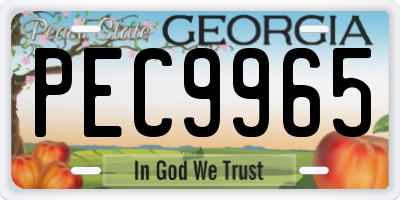 GA license plate PEC9965