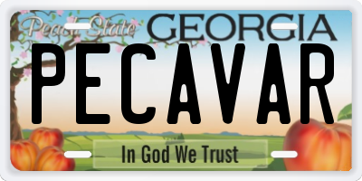 GA license plate PECAVAR