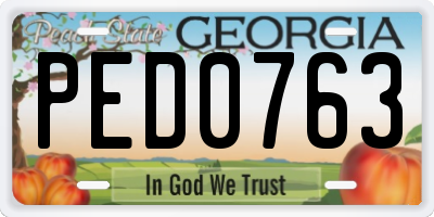 GA license plate PED0763