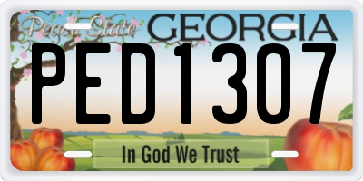 GA license plate PED1307