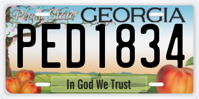 GA license plate PED1834