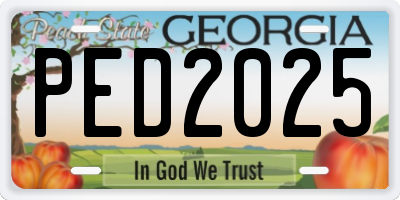 GA license plate PED2025