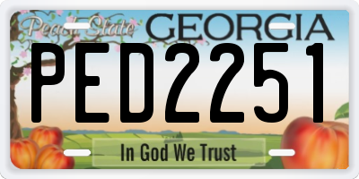 GA license plate PED2251