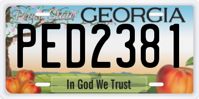 GA license plate PED2381