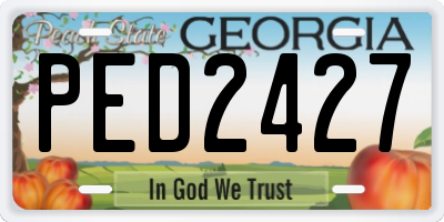 GA license plate PED2427