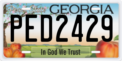 GA license plate PED2429