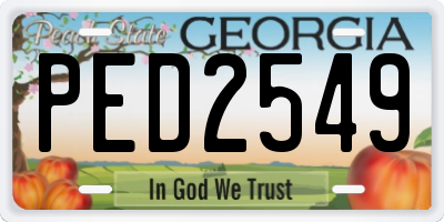 GA license plate PED2549