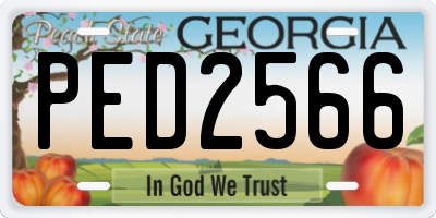 GA license plate PED2566