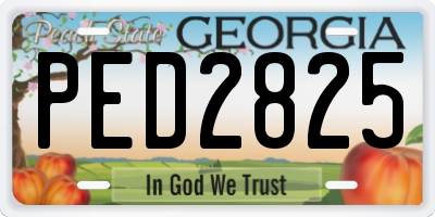 GA license plate PED2825