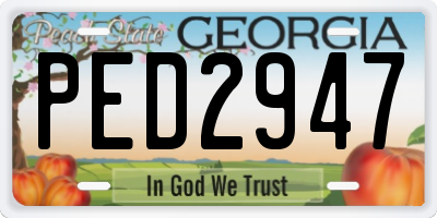 GA license plate PED2947