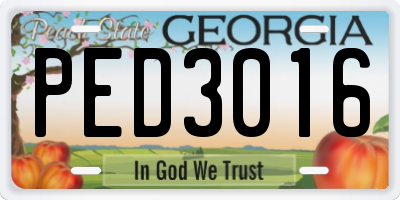 GA license plate PED3016