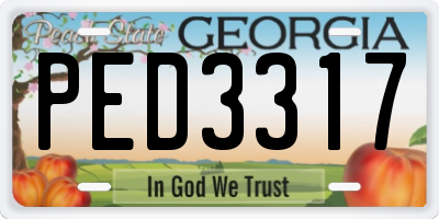 GA license plate PED3317