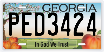 GA license plate PED3424