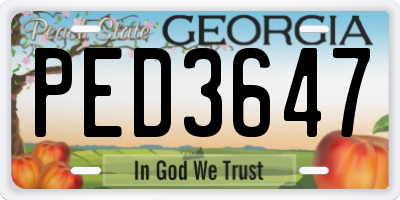 GA license plate PED3647