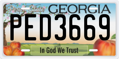 GA license plate PED3669