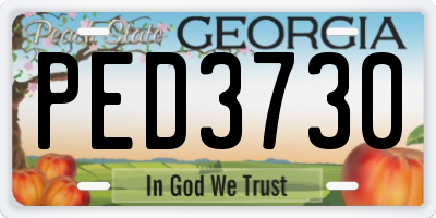 GA license plate PED3730