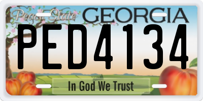 GA license plate PED4134
