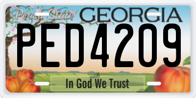 GA license plate PED4209