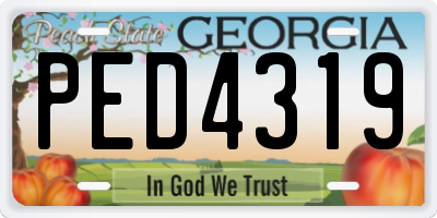 GA license plate PED4319