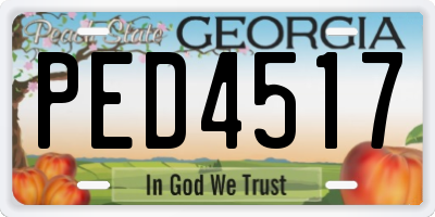 GA license plate PED4517
