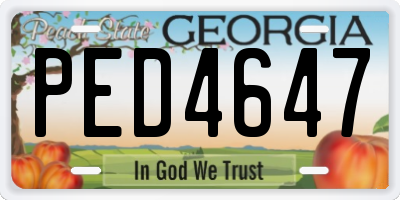 GA license plate PED4647