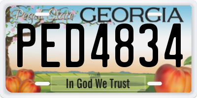 GA license plate PED4834