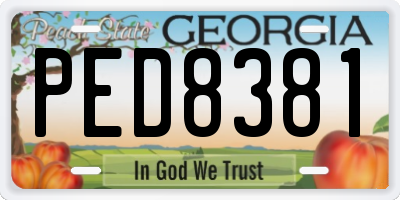 GA license plate PED8381