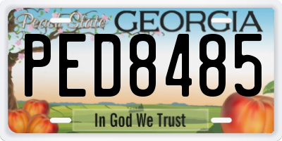 GA license plate PED8485