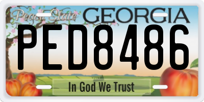 GA license plate PED8486