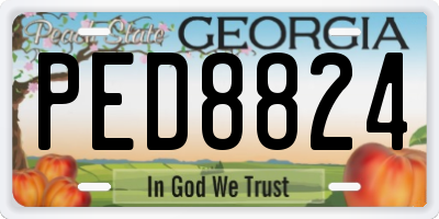 GA license plate PED8824