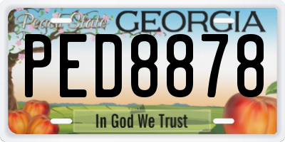 GA license plate PED8878