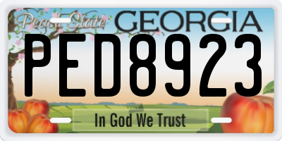GA license plate PED8923