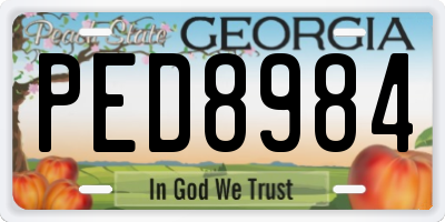 GA license plate PED8984