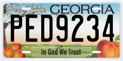 GA license plate PED9234