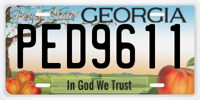 GA license plate PED9611