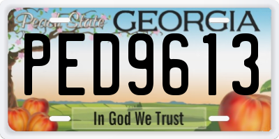 GA license plate PED9613